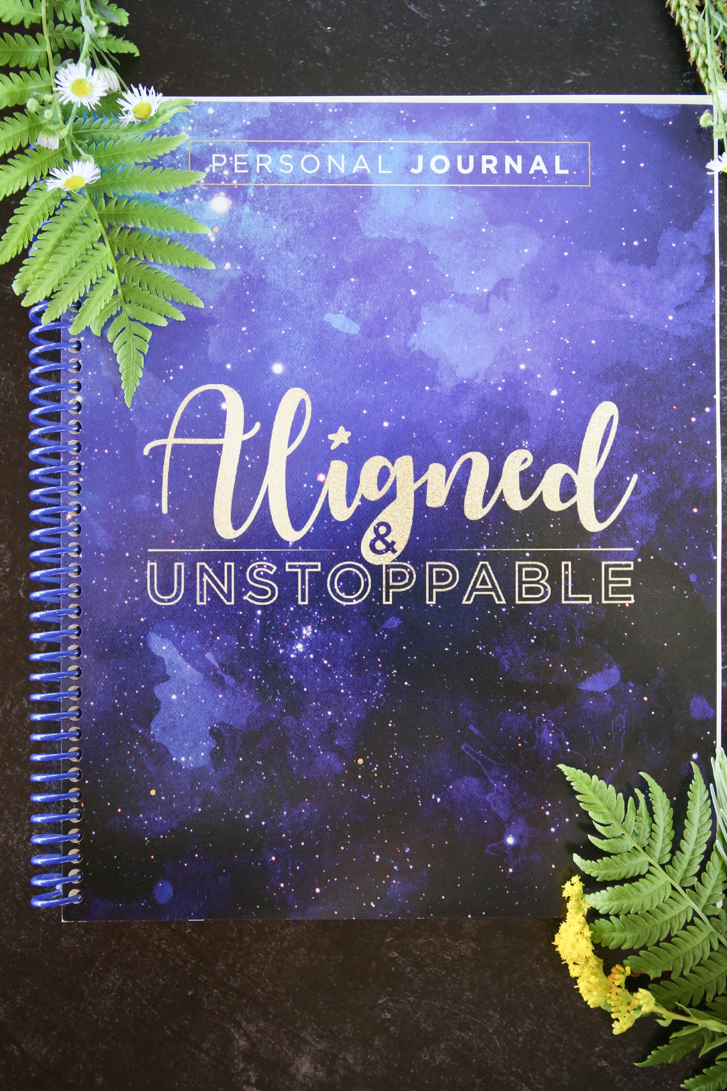 Aligned & Unstoppable Journal (V4081809093)